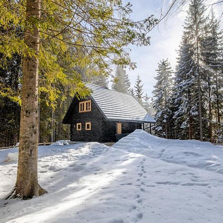 Cosy Lodge Pokljuka ゴレンスカ地方 エクステリア 写真