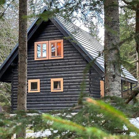 Cosy Lodge Pokljuka ゴレンスカ地方 エクステリア 写真