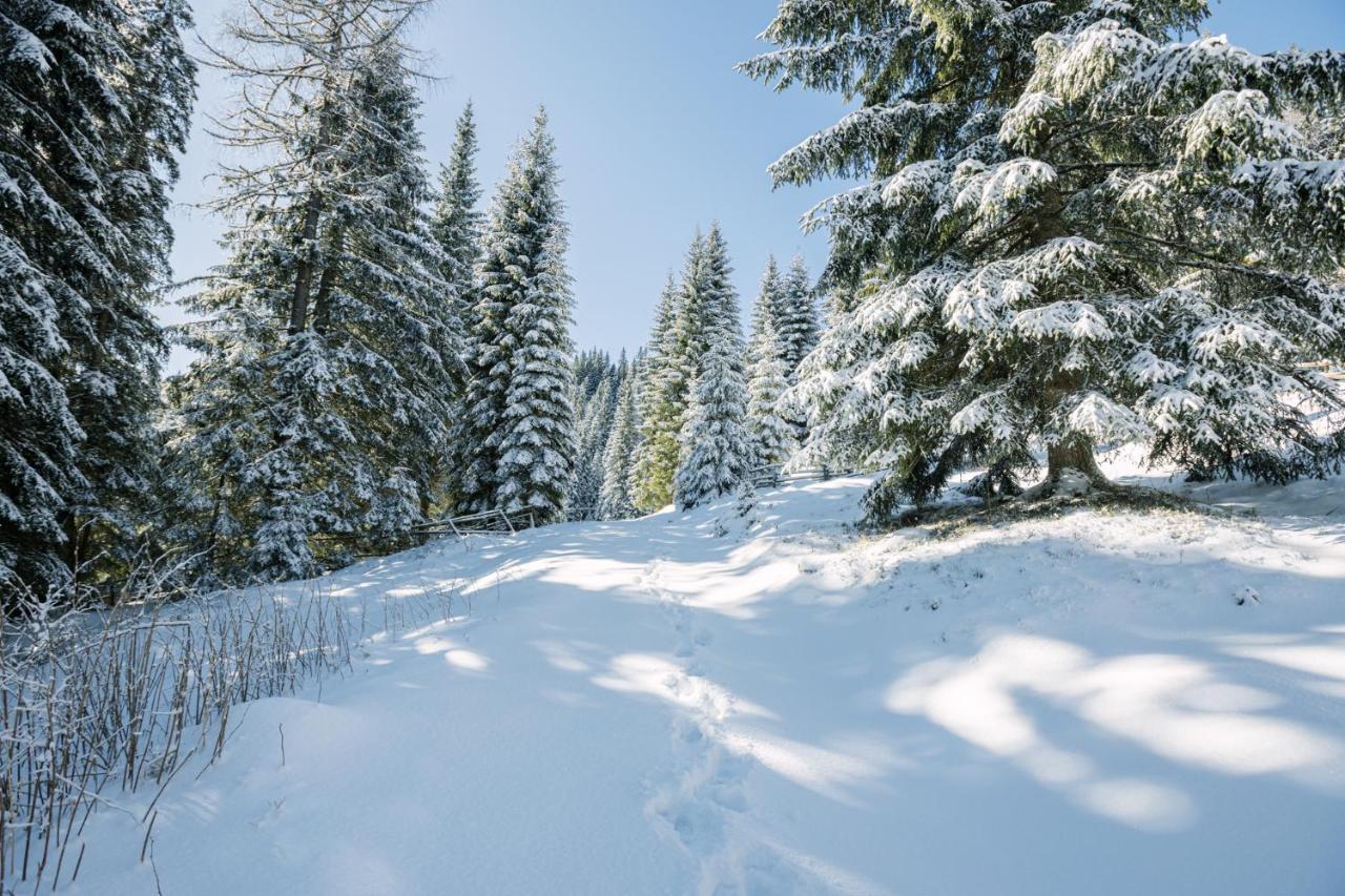 Cosy Lodge Pokljuka ゴレンスカ地方 エクステリア 写真