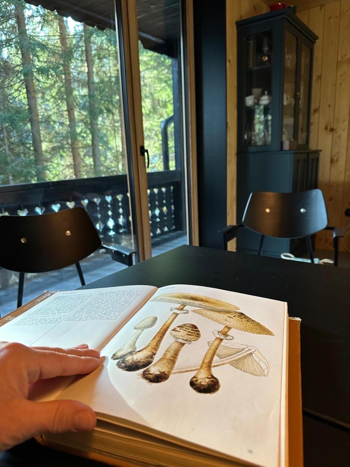 Cosy Lodge Pokljuka ゴレンスカ地方 エクステリア 写真