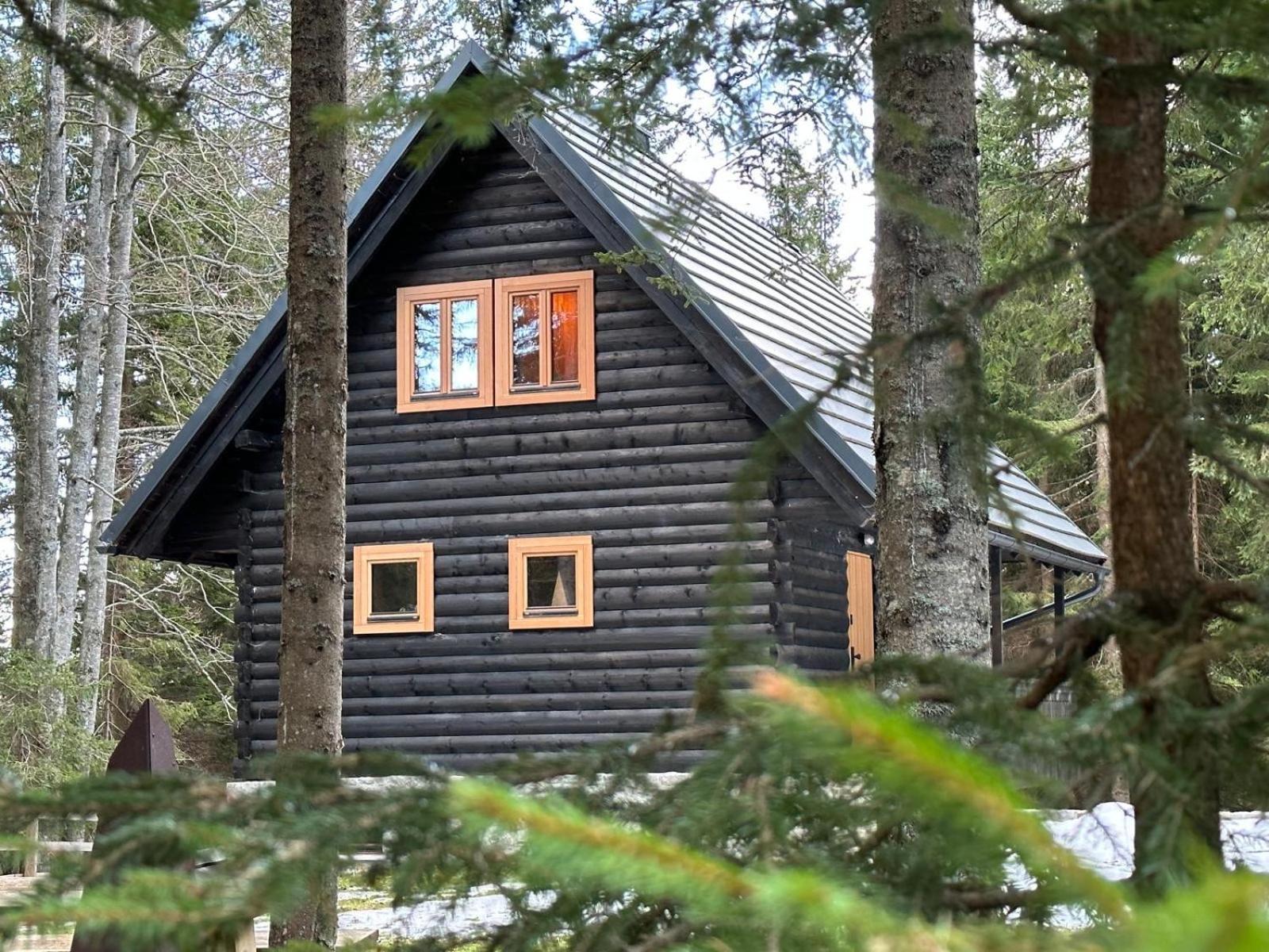 Cosy Lodge Pokljuka ゴレンスカ地方 エクステリア 写真