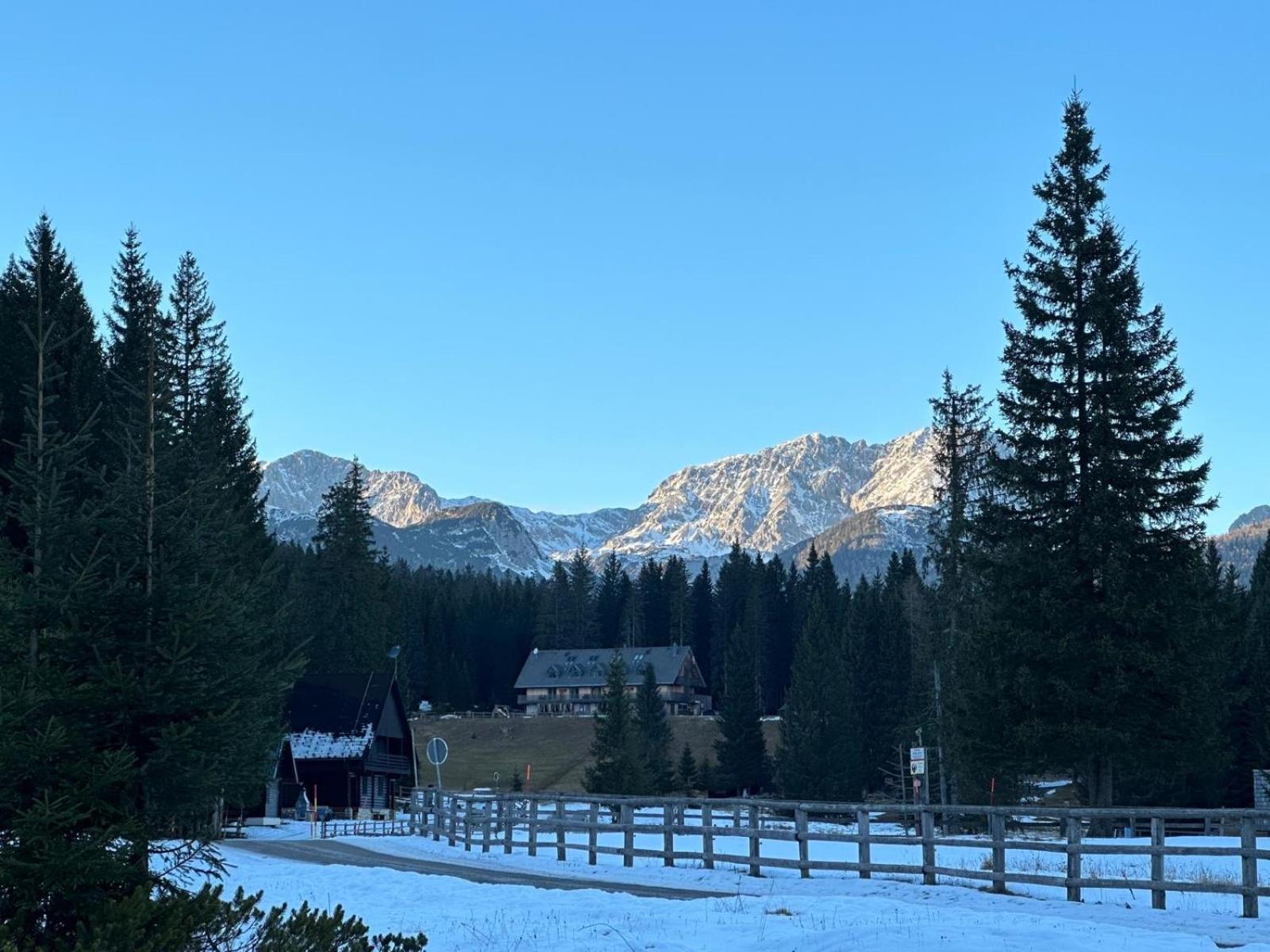 Cosy Lodge Pokljuka ゴレンスカ地方 エクステリア 写真