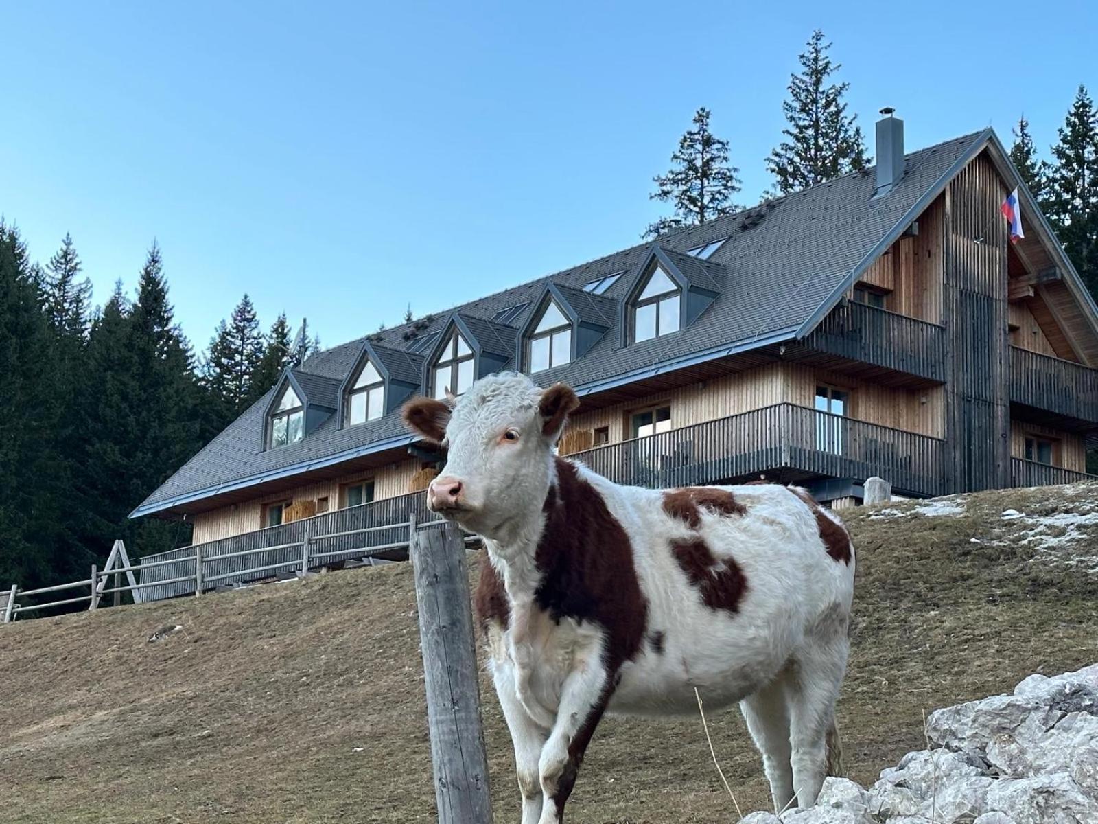 Cosy Lodge Pokljuka ゴレンスカ地方 エクステリア 写真