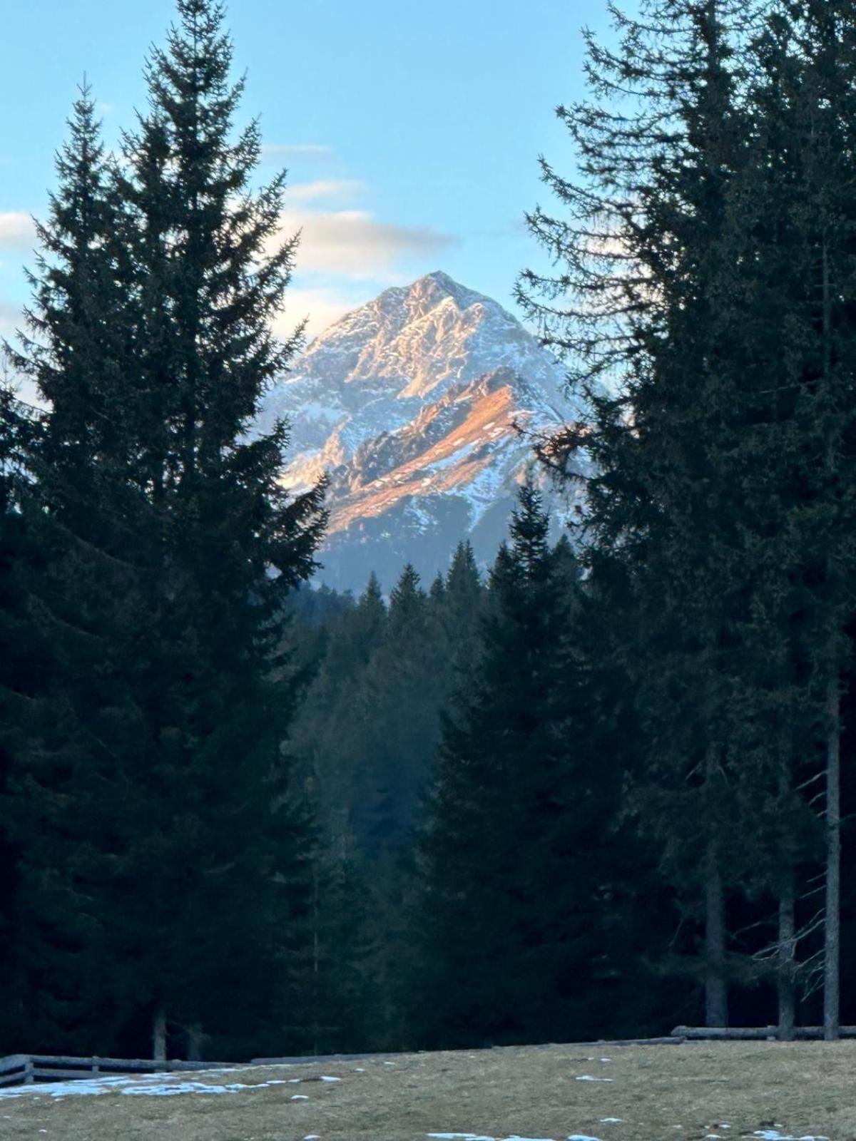 Cosy Lodge Pokljuka ゴレンスカ地方 エクステリア 写真
